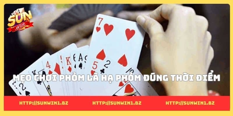 Mẹo chơi phỏm là hạ phỏm đúng thời điểm