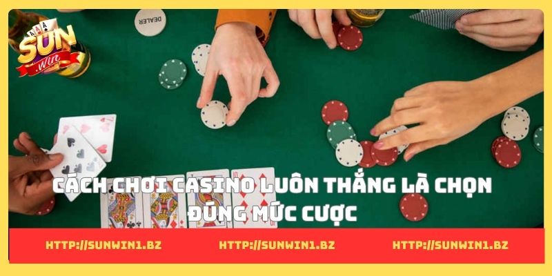 Cách chơi casino luôn thắng là chọn đúng mức cược